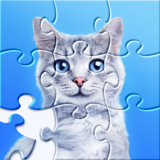 Puzzles - Jeux de puzzle Mod